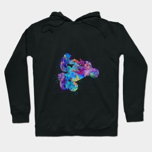 Four Wheeler Riding Boy Blue Purple Watercolor Silhouette Hoodie